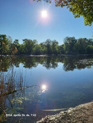 Tiszaalpár