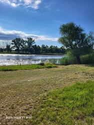 Tiszaalpár