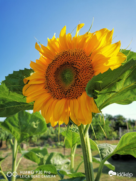 Igaz hogy én vagyok a legkisebb... 