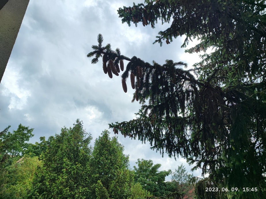 Észlelési fényképek