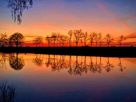 albertlaszlo fotója