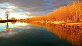 albertlaszlo fotója