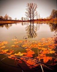 albertlaszlo fotója