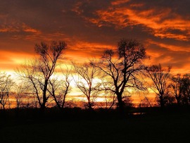 albertlaszlo fotója