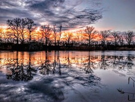 albertlaszlo fotója