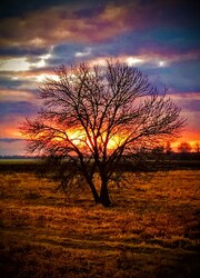 albertlaszlo fotója