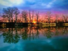 albertlaszlo fotója