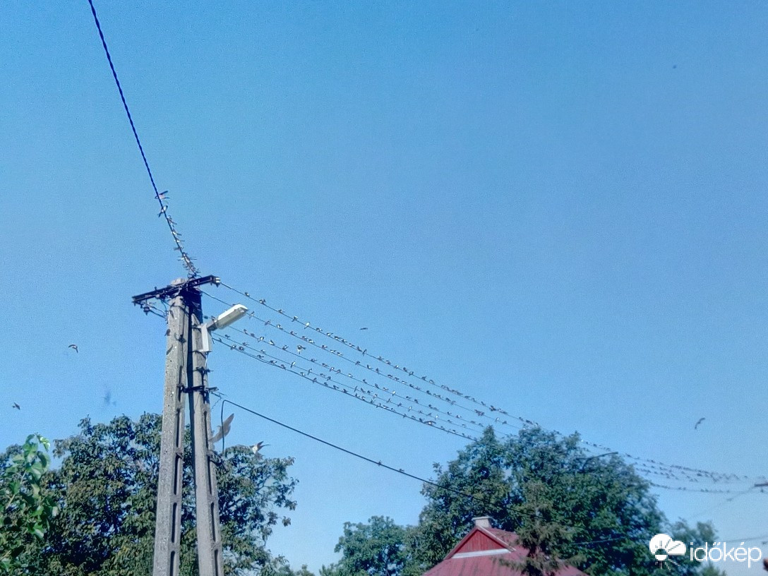 Észlelési fényképek