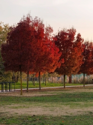 alexandra0531 fotója