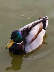 alexandra0531 fotója