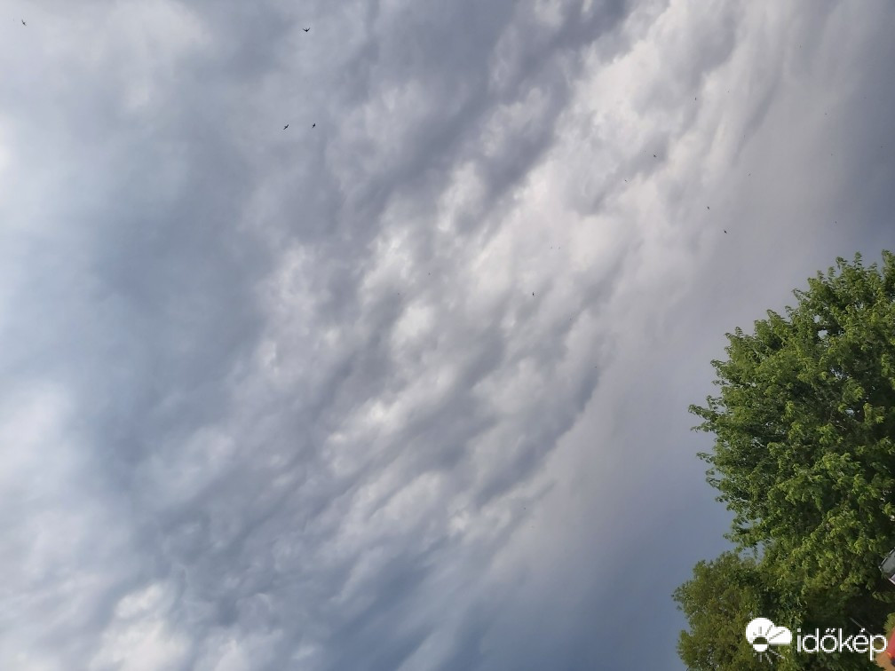 Észlelési fényképek