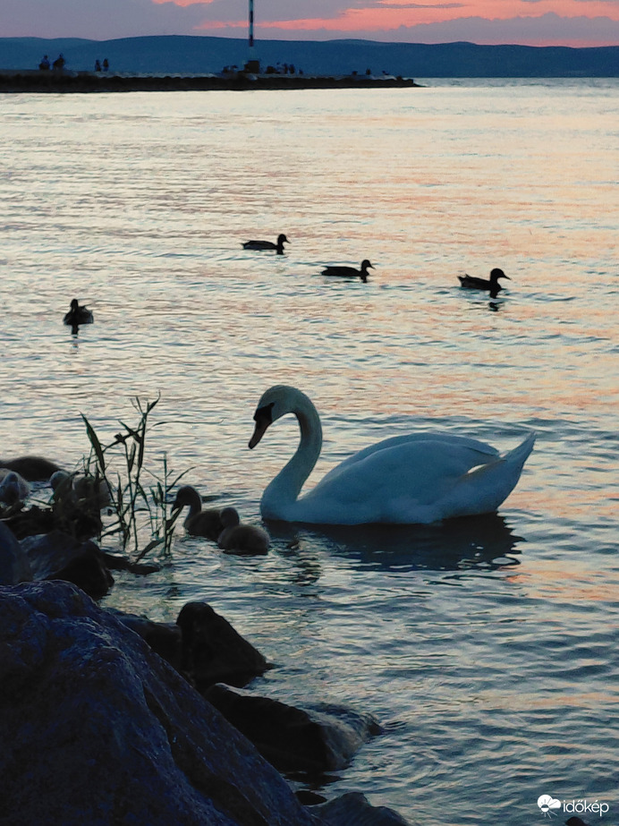 Balaton