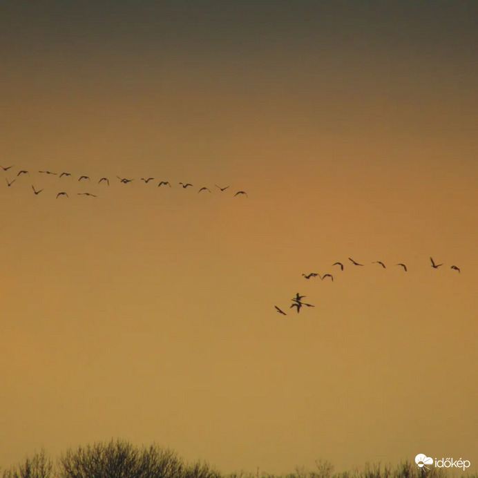 Tata Vadlúd Sokadalom