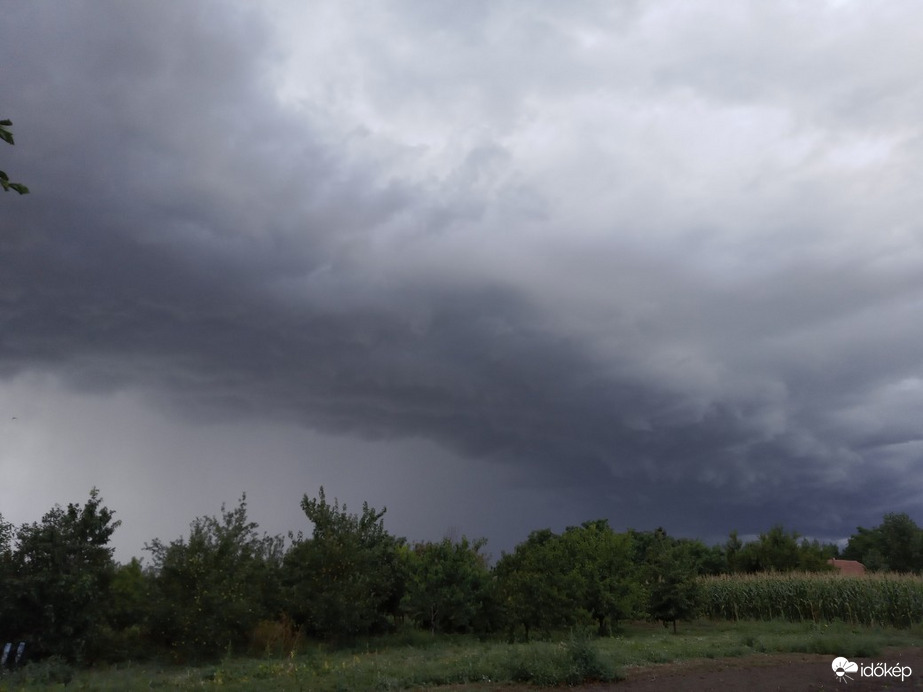 Észlelési fényképek