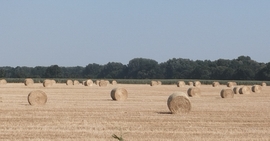 Hajós
