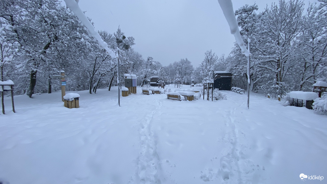 Észlelési fényképek