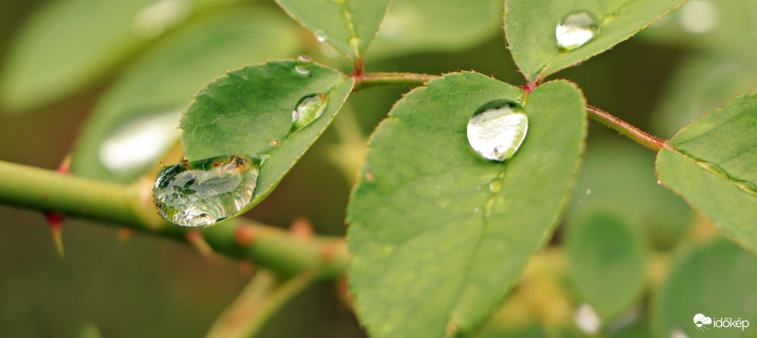 Esik eső szép csendesen! 