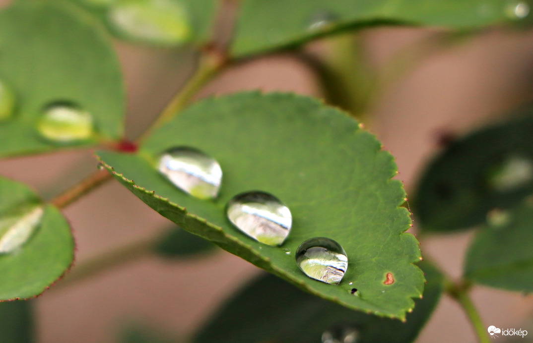 Csak szépen sorban! 
