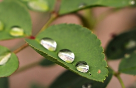 Csak szépen sorban! 