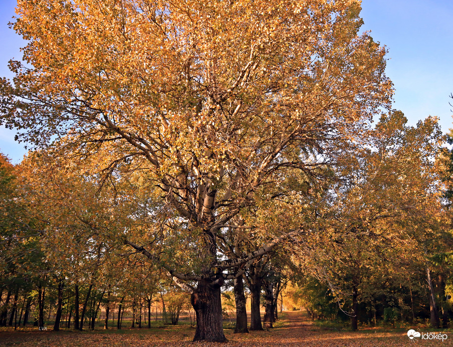 Püspökladány Farkassziget