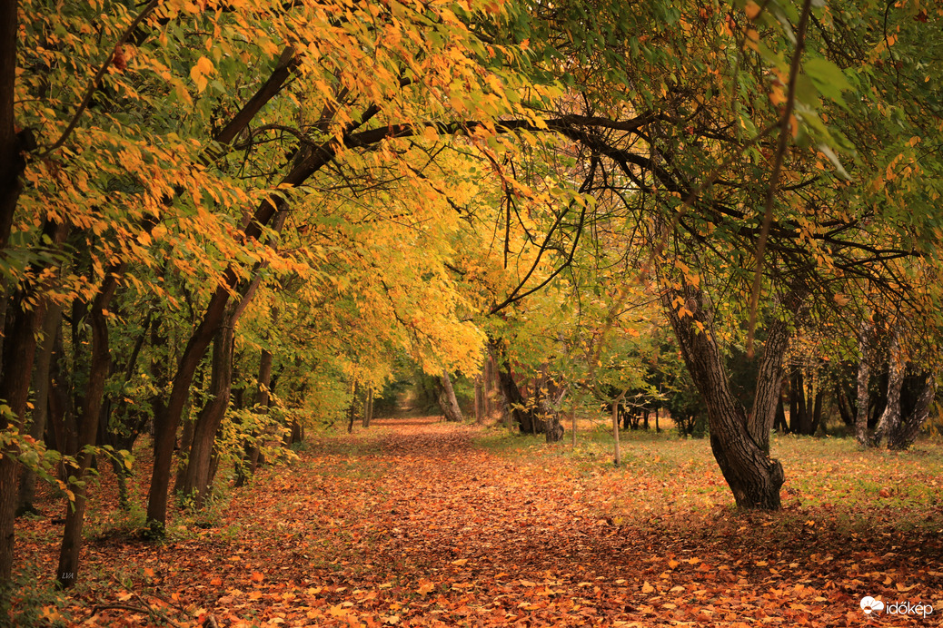 Őszi színkavalkád!