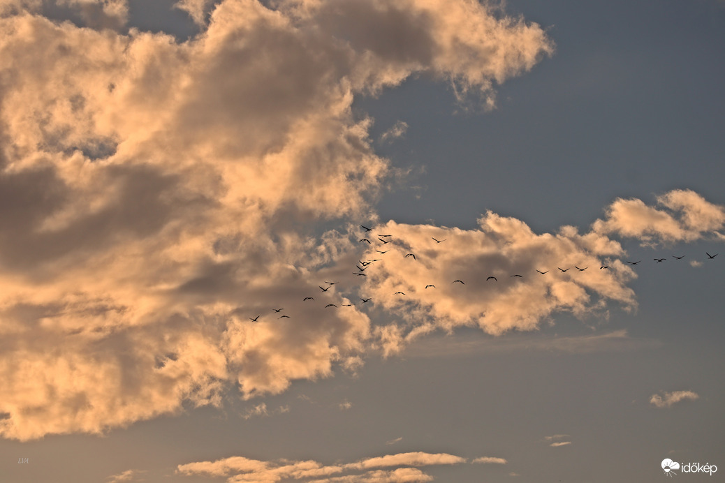 Felhőbe burkolódzott darvak! 