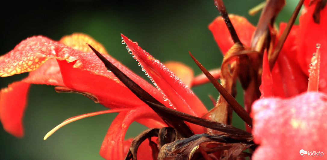 Egy csepp öt csepp sok csepp! 