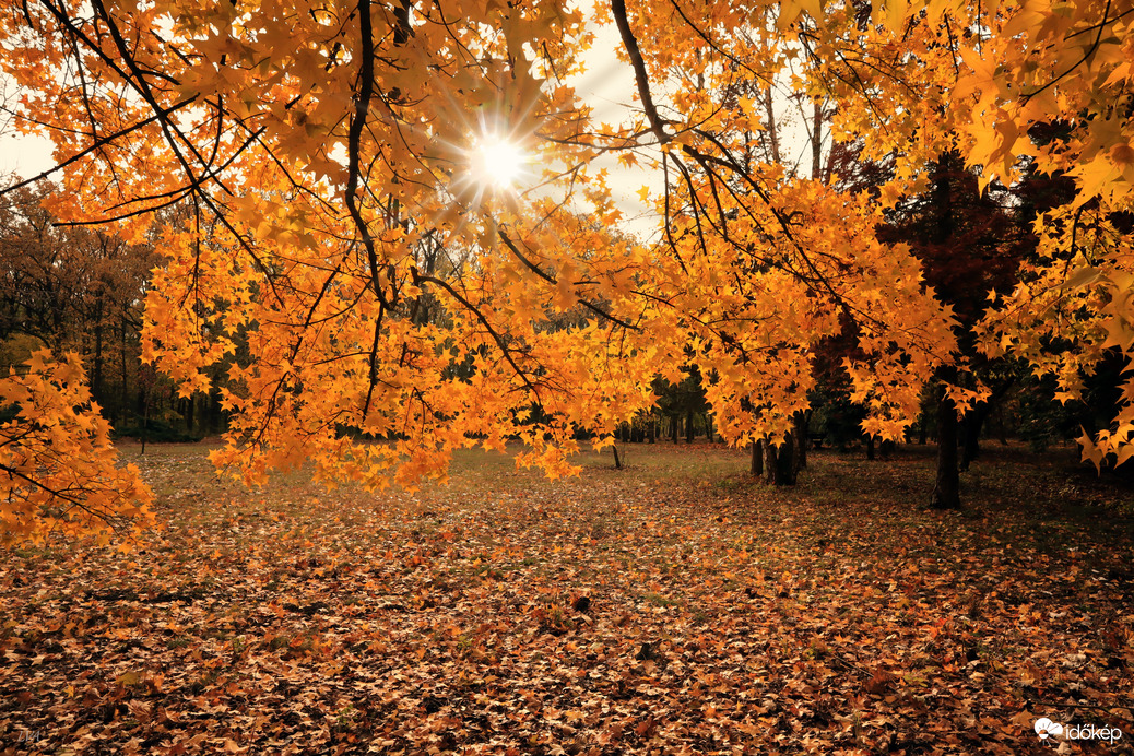 Bekukucskált a napocska! 
