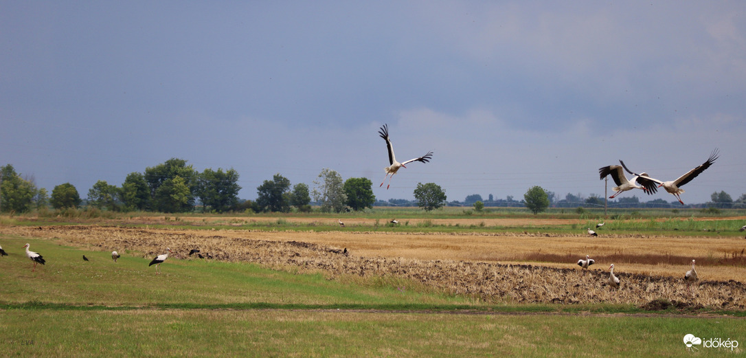 Megy ez már nekünk!!!