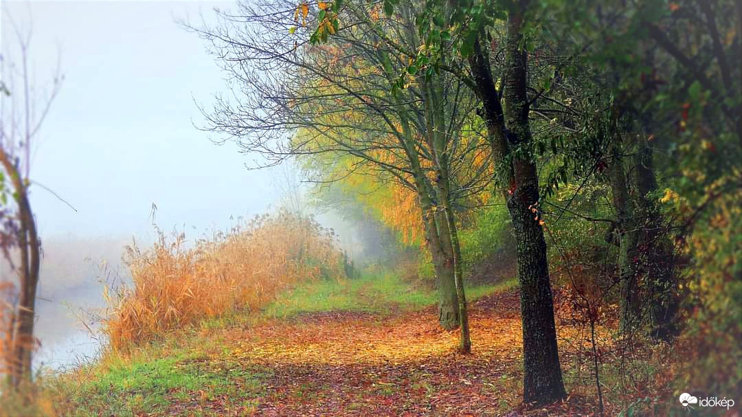 Ködös ősz a tavon!