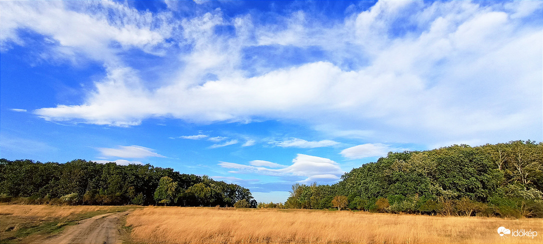 Püspökladány Farkassziget 