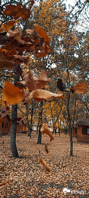 Itt van az ősz itt van újra! 