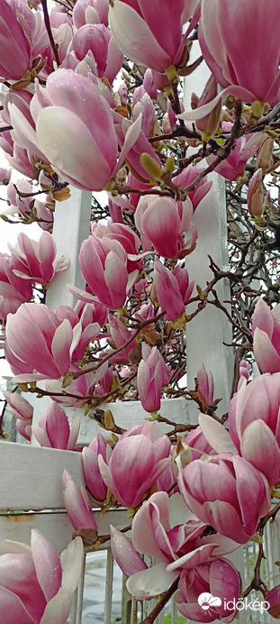 Püspökladány ékessége!