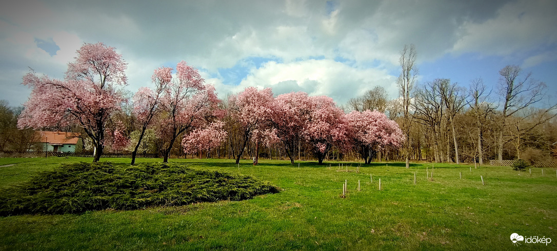 Püspökladány Farkassziget 