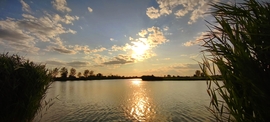 Püspökladány