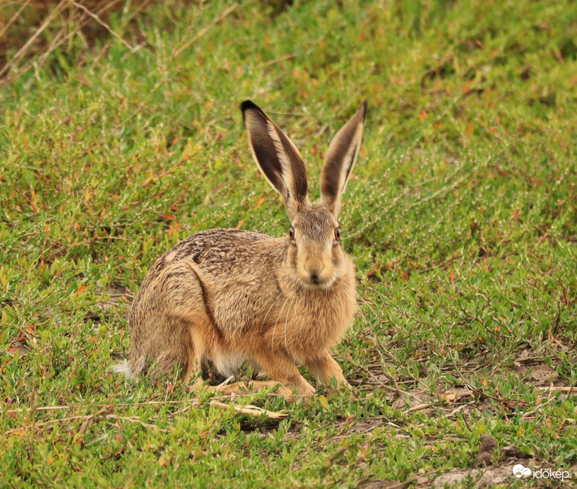 Annyira jól nézek ki!