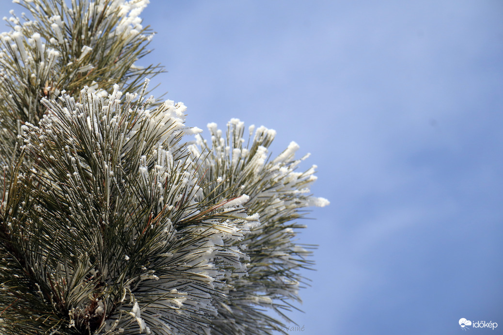 Kék zöld fehér összhang! 