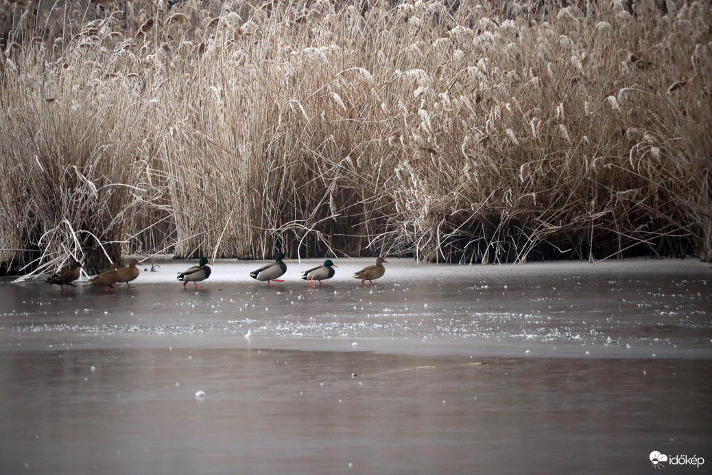 Csak szépen sorban!!!