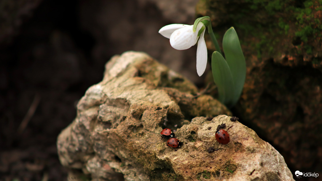 Itt a tavasz előbújtunk mi is! 