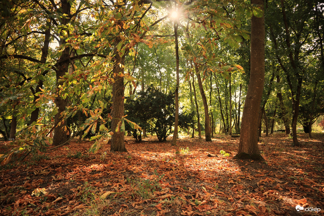 Itt van az ősz itt van újra!