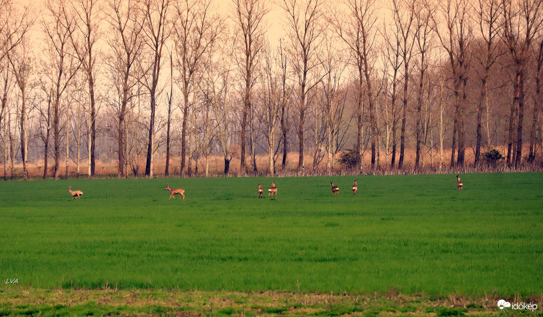 Heten mint a gonoszok!!