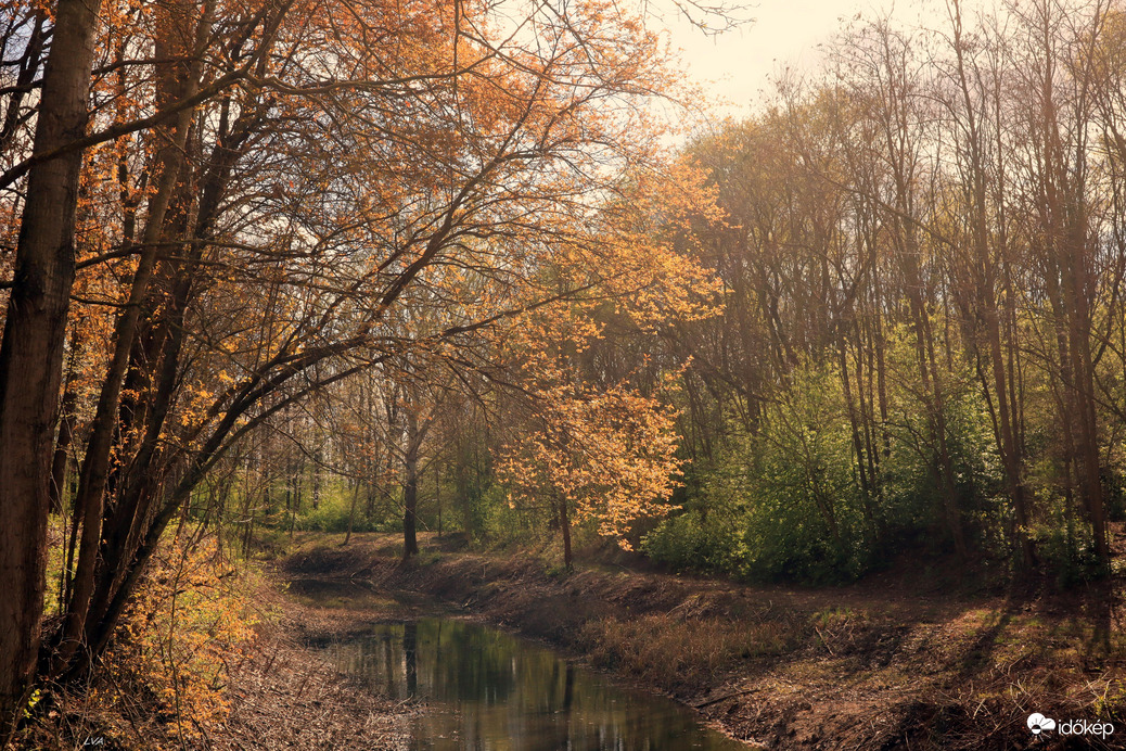Itt van az ősz itt van újra!