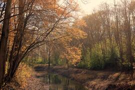 Itt van az ősz itt van újra!