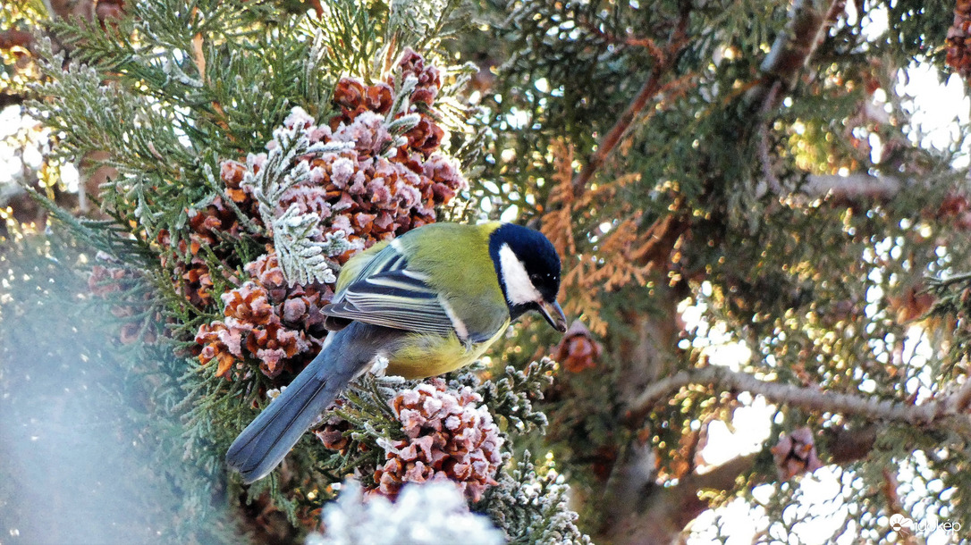 Jobb időre számítottam!