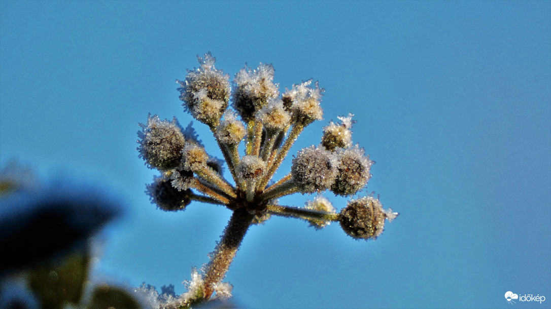 Zúzmarában csillogó!
