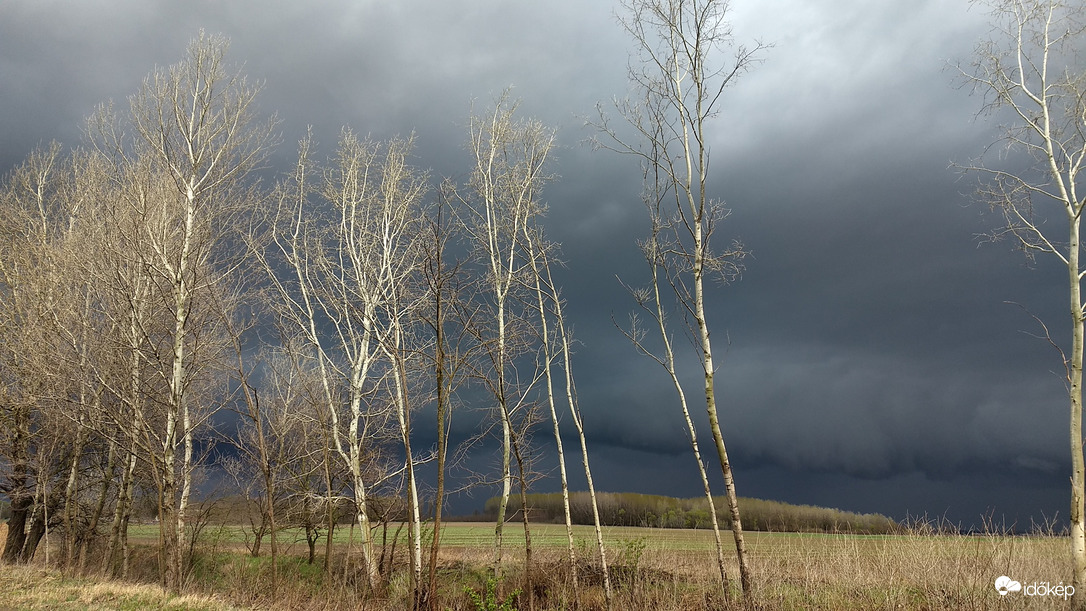 Észlelési fényképek