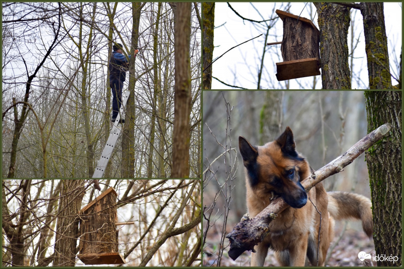 Otthonteremtő program: ma megtörtént a birtokbaadás. :)) 