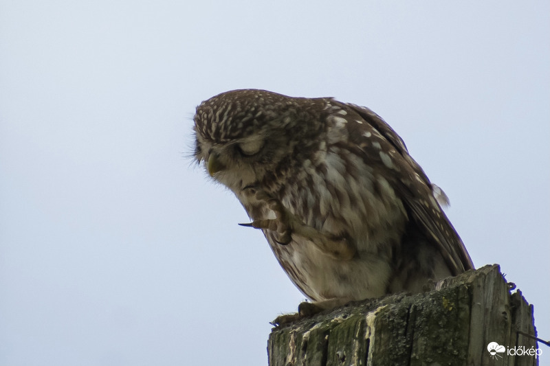 Műszaki ellenőrzés :))