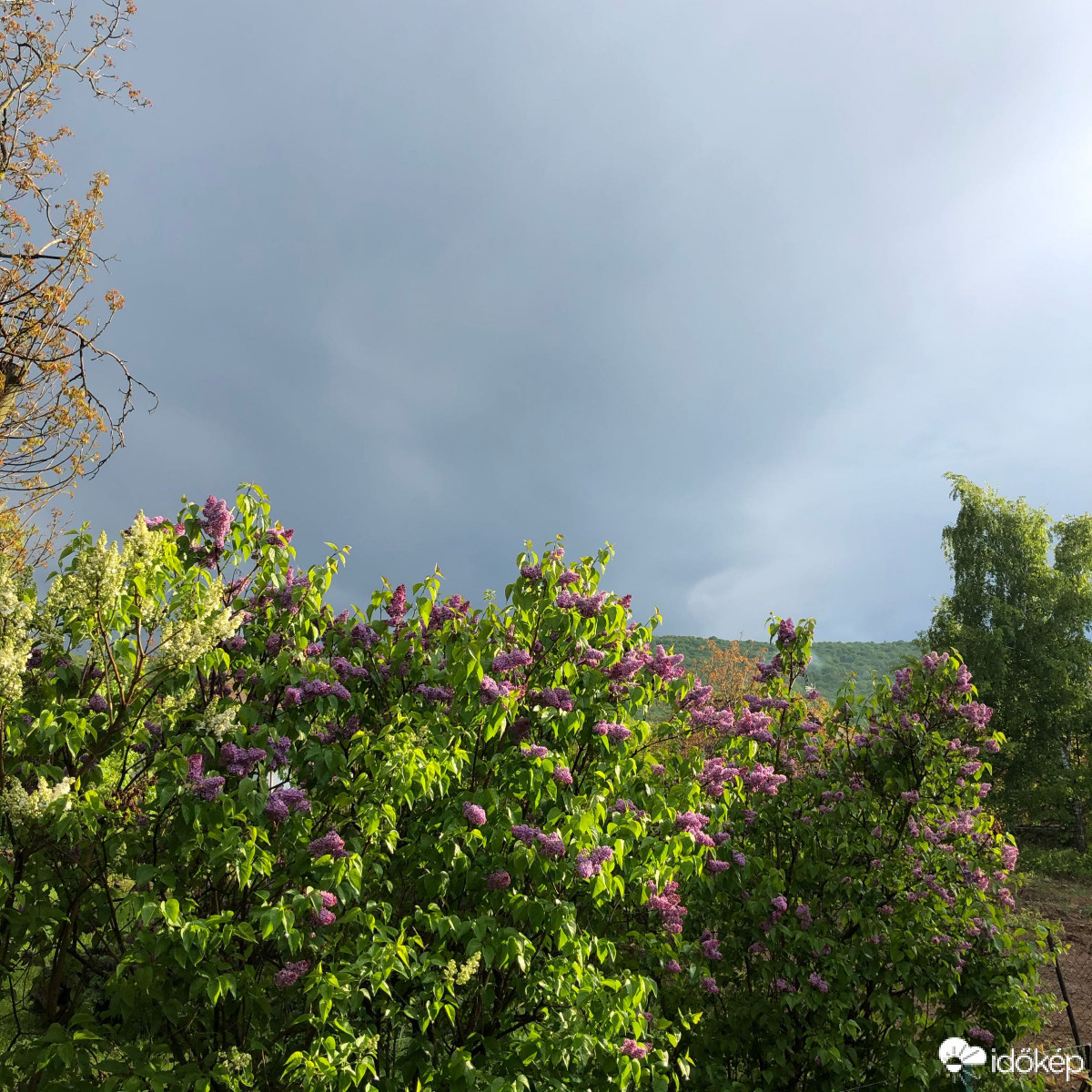 Észlelési fényképek