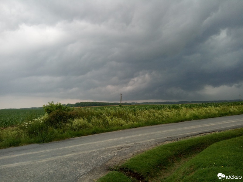 Észlelési fényképek